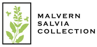 Malvern Salvia Collection