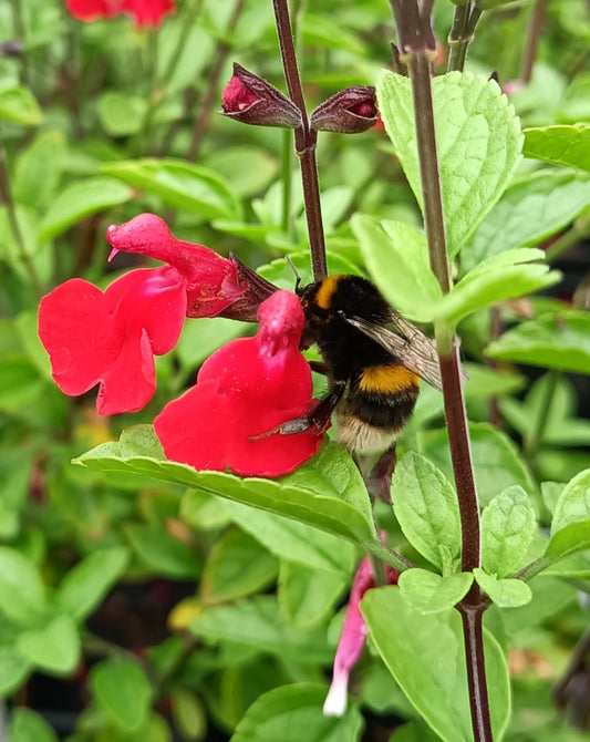 WHAT A YEAR 2025 WAS — AND LOOKING FORWARD TO 2026!